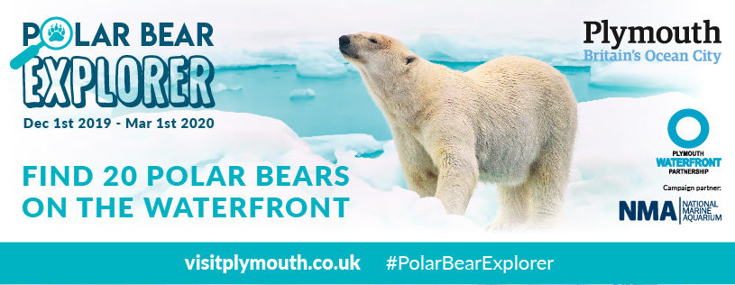 Be A Polar Bear Explorer…